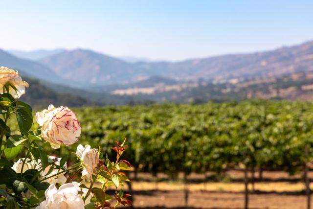 Image 34 of 51 For 20300 Cachagua Road