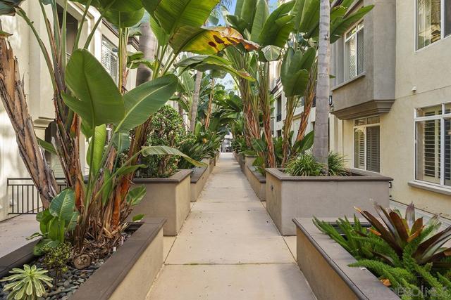 4165 Executive Dr, La Jolla CA: https://media.crmls.org/mediaz/5396d3a8-9221-41e5-8776-7486a8887337.jpg