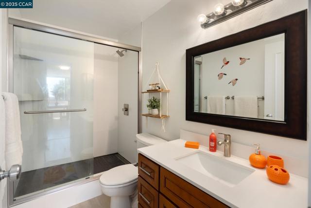 555 Pierce St, Albany CA: https://media.crmls.org/mediaz/539b788a-a2a9-4830-b383-2e74fae33a5b.jpg