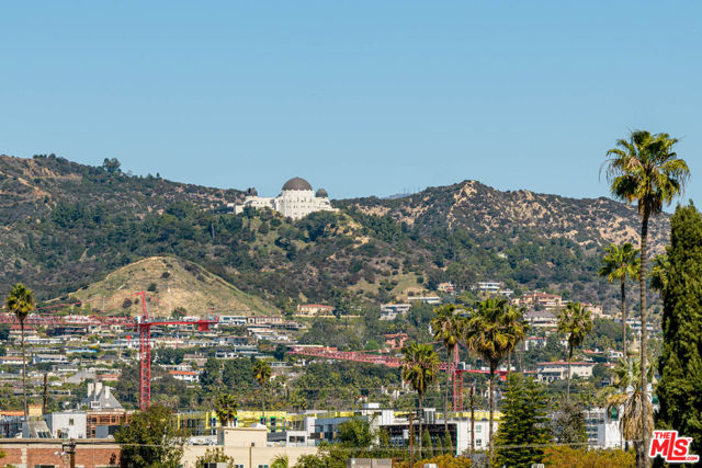 741 N Gramercy Place, Los Angeles CA: https://media.crmls.org/mediaz/53a5c779-ab86-4159-bdcd-22ffc5ab242c.jpg