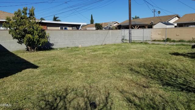 146 Navarro Street - Backyard