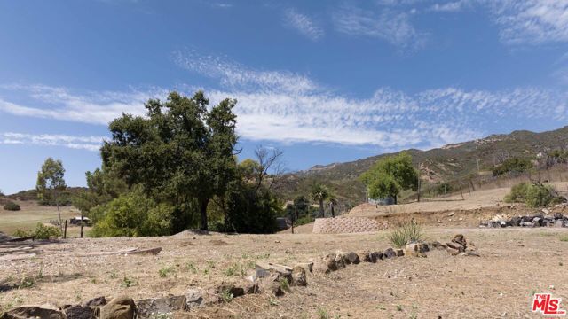 33459 Mulholland Highway photo 7