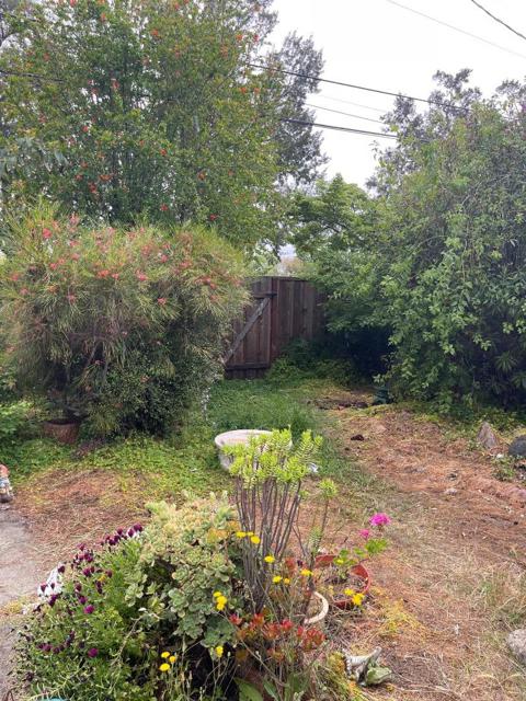 5315 Joseph Lane, San Jose CA: https://media.crmls.org/mediaz/53a9e768-dbb3-479d-80e8-3cf019a9163a.jpg