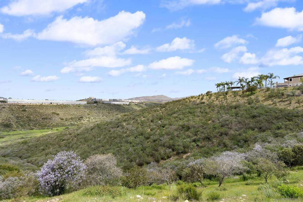 MLS #250032415SD img 50