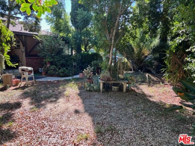 Front Yard
