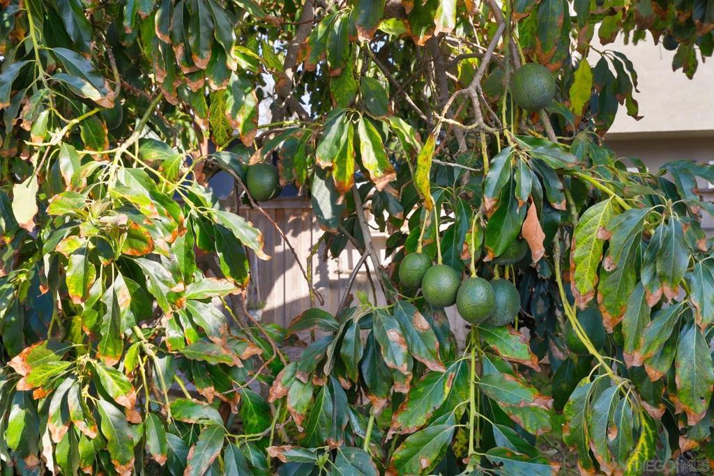 https://media.crmls.org/mediaz/53b53788-9d9f-47d7-a6b4-460922ebe8b1.jpg?preset=X-Large