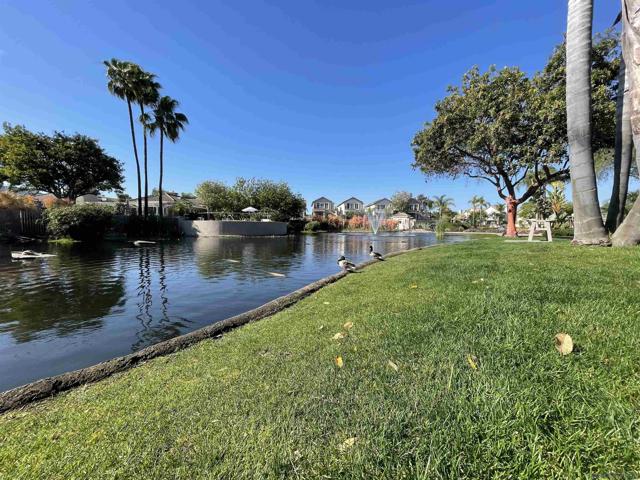 18515 Caminito Pasadero, San Diego CA: https://media.crmls.org/mediaz/53c9a4e9-4b10-4b54-ac4c-08c3377629cf.jpg