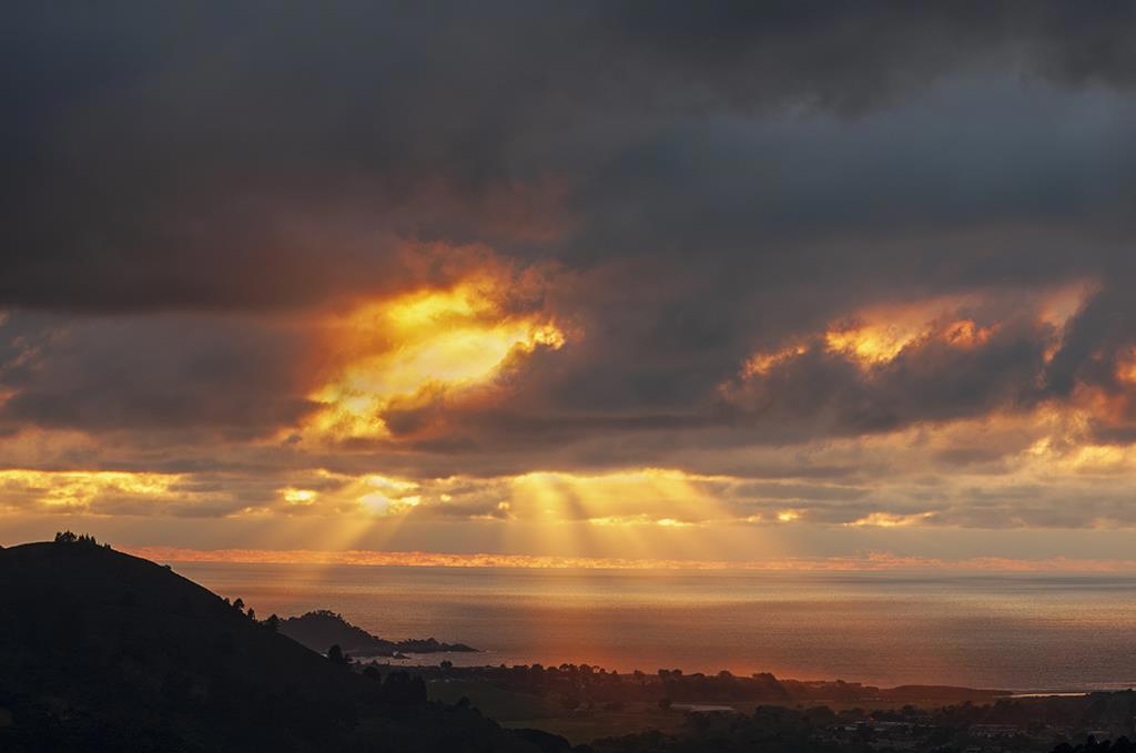 MLS #ML82011000 image #13