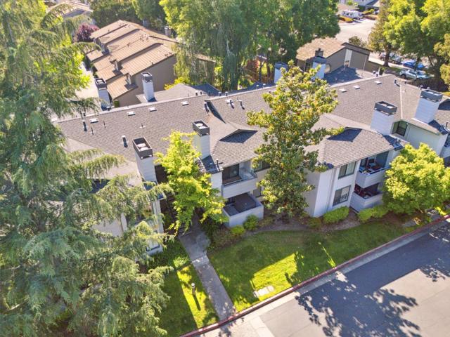 4519 Waterville Drive, San Jose CA: https://media.crmls.org/mediaz/53cd98cd-f692-4a43-9f70-b1e01e301ce4.jpg