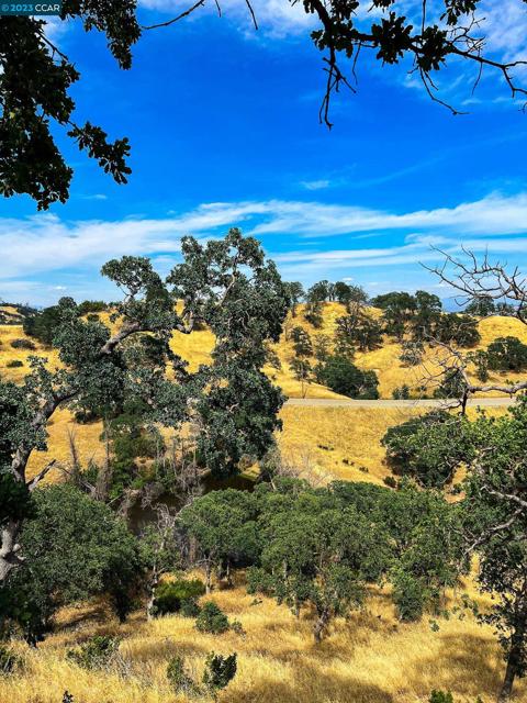 0 Lot 22 Rolling Oaks, Cottonwood CA: https://media.crmls.org/mediaz/53d34515-da60-4950-a530-b145bf6f8179.jpg