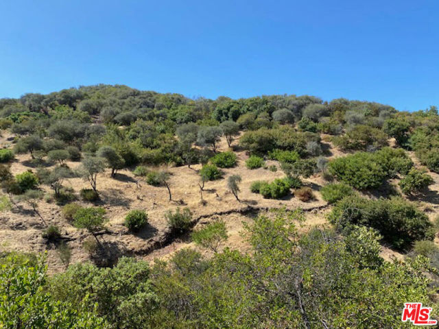 Drew Fenton | 524 Moonrise Malibu CA | MLS: 7289796 Drew Fenton | 524 Moonrise Malibu CA | MLS: 7289796