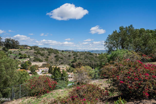 Detail Gallery Image 55 of 75 For 6065 Cielo Vista Ct, Camarillo,  CA 93012 - 6 Beds | 2/1 Baths