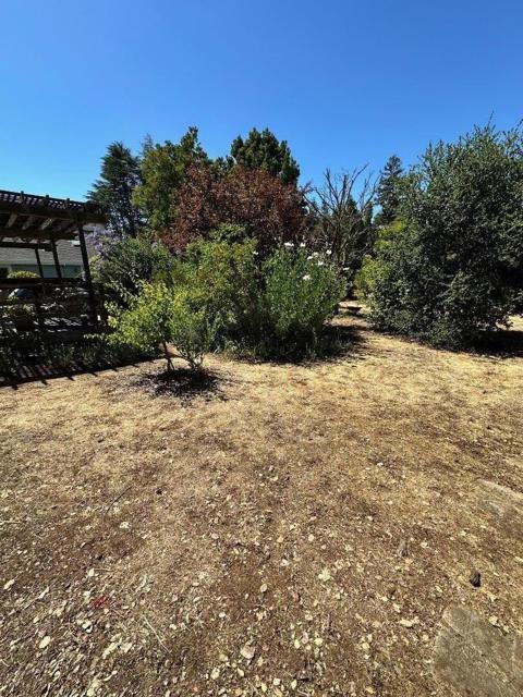 399 Hawthorne Avenue, Los Altos CA: https://media.crmls.org/mediaz/53e3a63f-4694-435e-8027-1e1063f11bb4.jpg