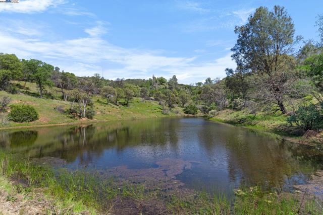 59480 Mines Rd, Livermore CA: https://media.crmls.org/mediaz/53e81230-1b0d-4f2b-b34f-8bc03ef04d61.jpg