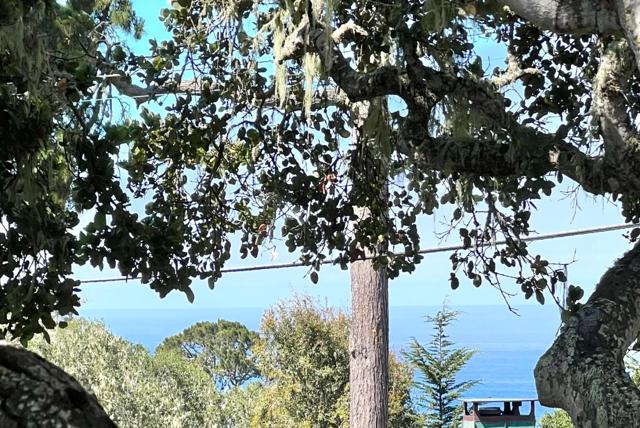 5 NE of 4th on Lopez, Carmel CA: https://media.crmls.org/mediaz/53eca3ec-cd56-49d3-9e2e-5c99152f7725.jpg