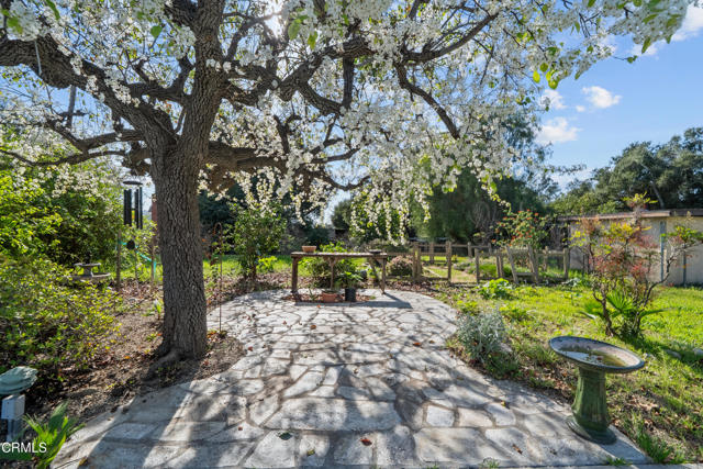 Detail Gallery Image 50 of 68 For 1325 Cliff Ave, Fillmore,  CA 93015 - 5 Beds | 3 Baths