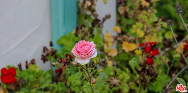 520 Barker Pass Road, Santa Barbara CA: https://media.crmls.org/mediaz/5436b1b1-0373-4cbf-9e86-4c26fc74981c.jpg