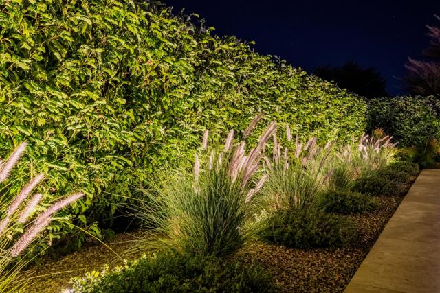 50810 Bee Canyon Drive, Indio CA: https://media.crmls.org/mediaz/544e77bc-c0db-4ce3-bc01-aaeb2f251581.jpg