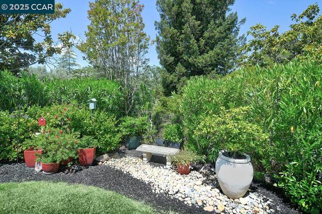 633 Terra California Dr, Walnut Creek CA: https://media.crmls.org/mediaz/544e999b-9635-42b2-a85e-3d98a0532445.jpg