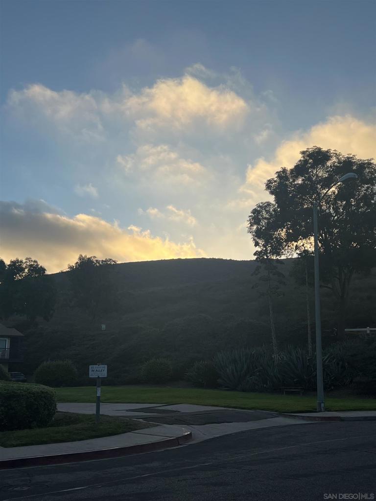 MLS #250039864SD image #21