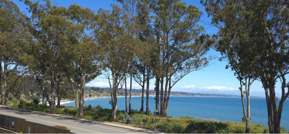 815 Balboa Avenue #206