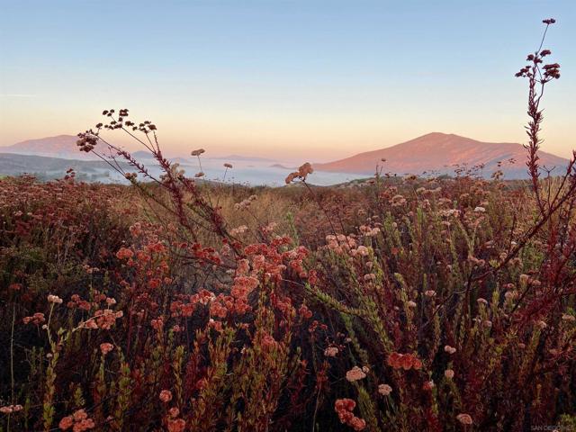 Image 1 of 53 For 25675 Potrero Park Dr