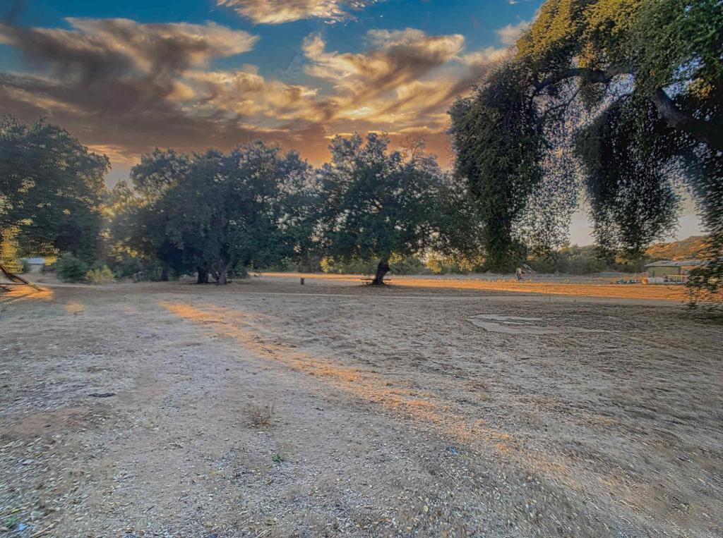 MLS #PTP2506313 image #5