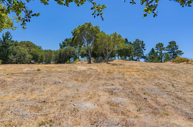 12167 Saddle Road, Carmel Valley CA: https://media.crmls.org/mediaz/54691e02-e360-47b8-a5c1-3c56449dd197.jpg