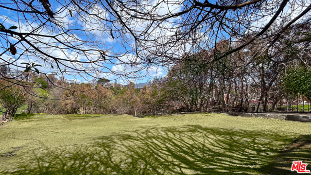 543 Radcliffe Avenue, Pacific Palisades CA: https://media.crmls.org/mediaz/5469fc99-7e84-4855-8f35-ad2a7e6c40c0.jpg