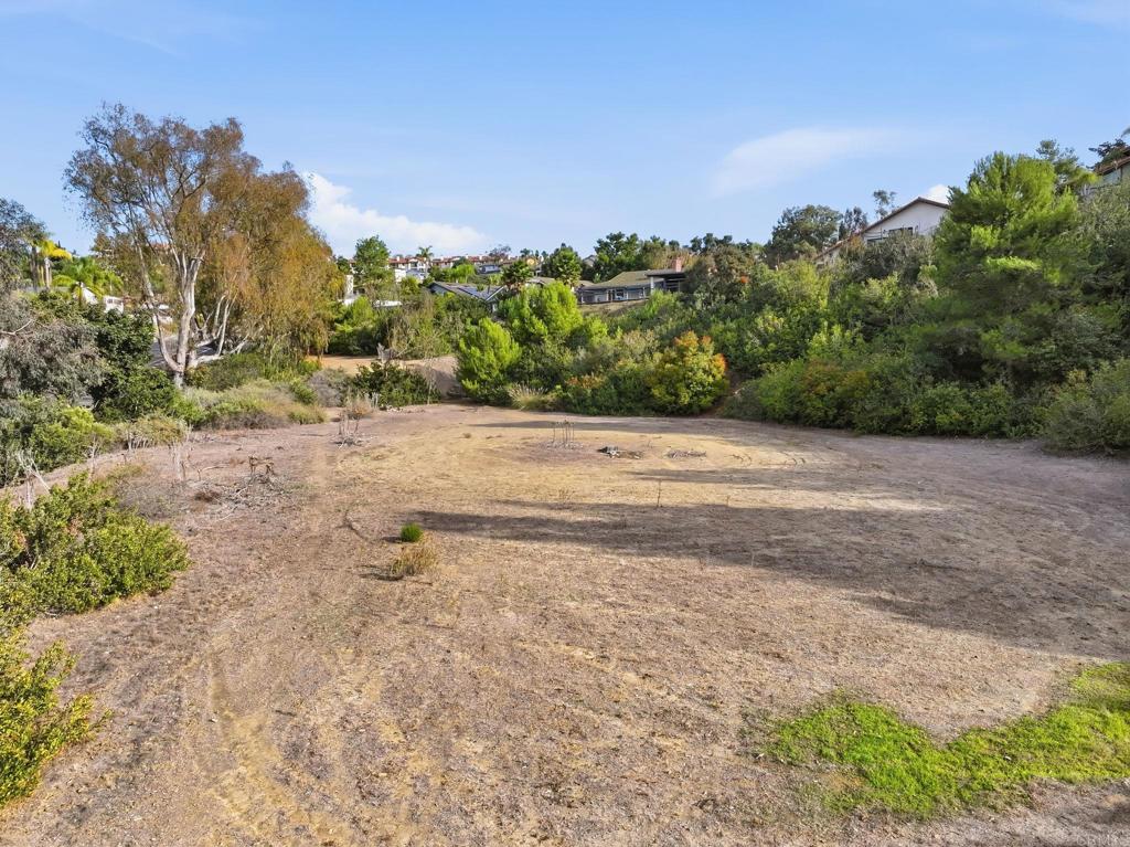 6515 El Fuerte Street - photo 4