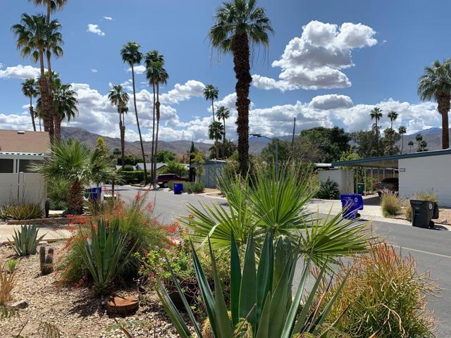 31 Paseo Laredo North, Cathedral City CA: https://media.crmls.org/mediaz/54714df0-fc19-4a86-bfaf-5746b256479c.jpg