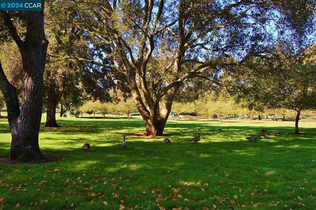 2748 Tice Creek Dr, Walnut Creek CA: https://media.crmls.org/mediaz/54859c43-2f60-4816-9444-bae1908ad695.jpg