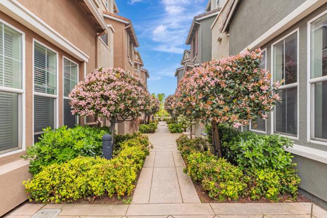 1744 Snell Place, Milpitas CA: https://media.crmls.org/mediaz/5487ddf7-06fb-4f4f-b121-8f960eb5bea2.jpg