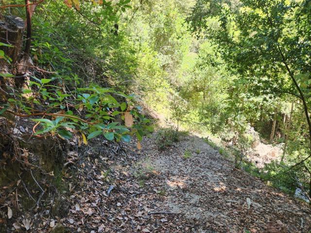 510 East Road, Boulder Creek CA: https://media.crmls.org/mediaz/54897069-a22c-477a-a7a6-e959da7fea1a.jpg