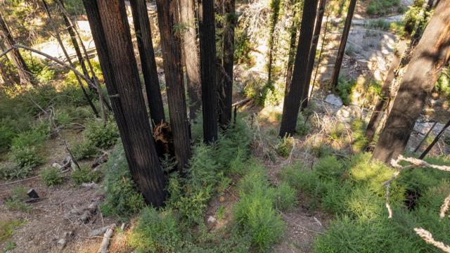 0 Boulder Brook Drive, Boulder Creek CA: https://media.crmls.org/mediaz/548a1588-c810-453d-bcf5-e341c47a7ab1.jpg