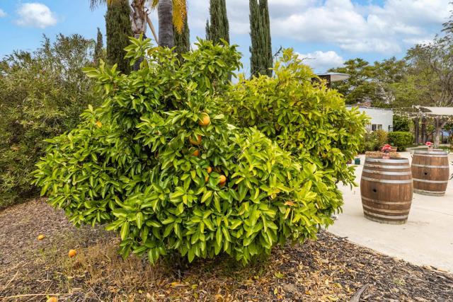 Detail Gallery Image 67 of 75 For 22053 Highland St, Wildomar,  CA 92595 - 5 Beds | 3/2 Baths