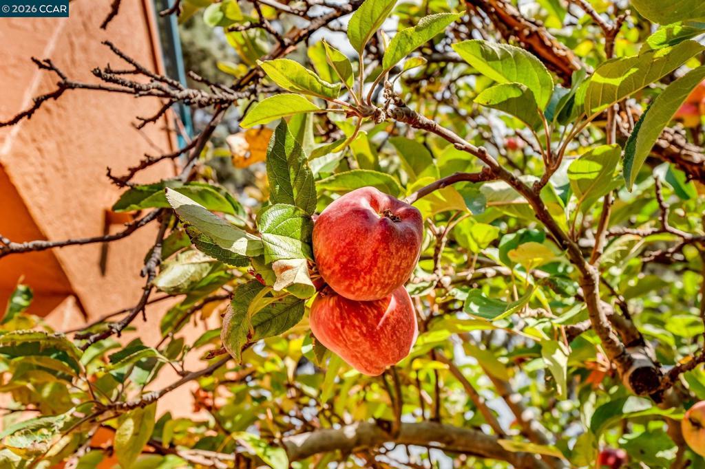 https://media.crmls.org/mediaz/548c767c-8e79-4d35-afdd-c2f0b286b5b9.jpg?preset=X-Large