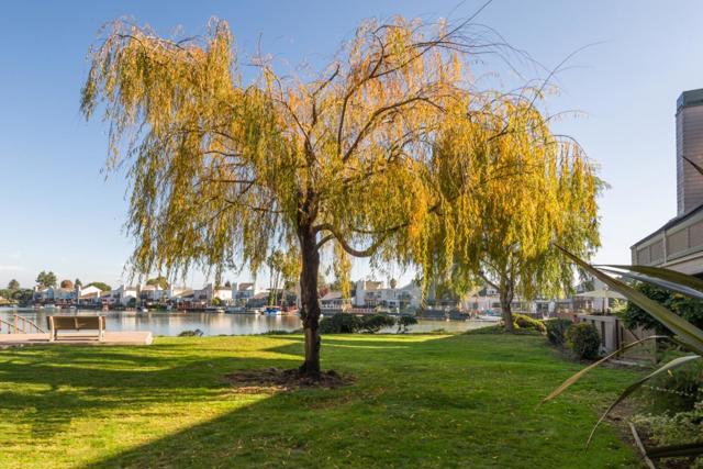 32 Cove Lane, Redwood City CA: https://media.crmls.org/mediaz/548f5f51-2e42-4f15-8cc2-51ec9a8abf58.jpg