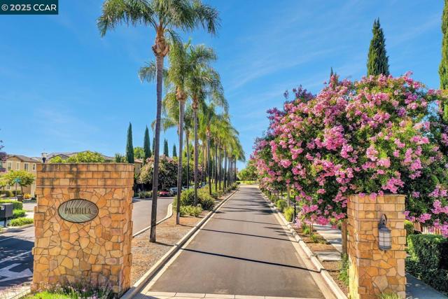 330 Pacifica Dr, Brentwood CA: https://media.crmls.org/mediaz/54a259a6-89a5-44aa-b267-92e612bf0eaf.jpg