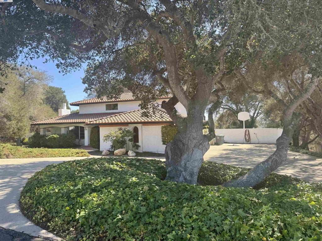298 Saint Andrews Way
