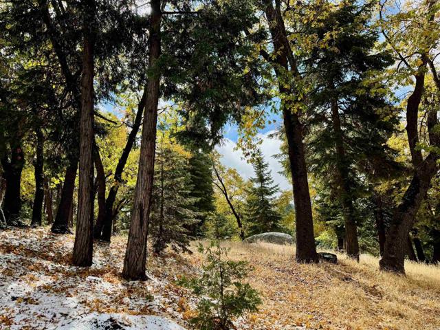 Detail Gallery Image 2 of 47 For 10 Acres Greenfield Way, Palomar Mountain,  CA 92060 - – Beds | – Baths