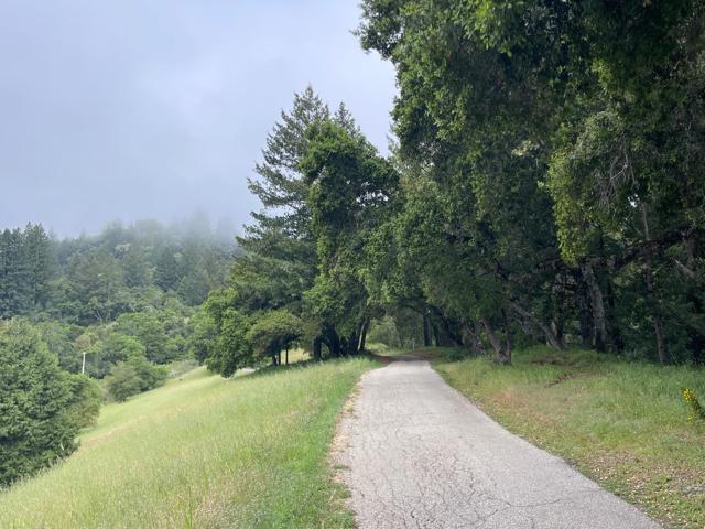 450 Hawk Ridge Road, Boulder Creek CA: https://media.crmls.org/mediaz/54b6c834-7962-4b5d-af41-0b0c98de6c92.jpg
