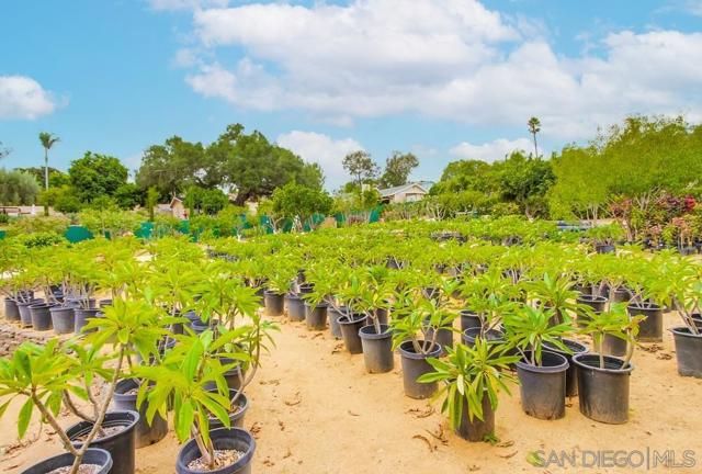 732 Hamilton Lane, Fallbrook CA: https://media.crmls.org/mediaz/54c64463-6df0-468f-a761-94fad07272c1.jpg