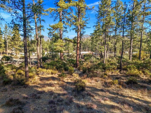 1 Pipe Creek Road, Mountain Center CA: https://media.crmls.org/mediaz/54cc02a3-619c-4ddb-845a-676044f9718e.jpg