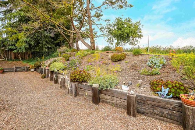 11868 Bloomington Way, Dublin CA: https://media.crmls.org/mediaz/54d2e79b-6aae-4eba-b0bb-68cbf212f17e.jpg