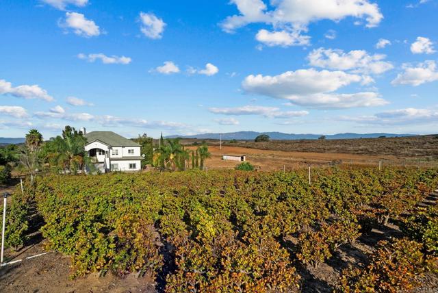 Detail Gallery Image 48 of 51 For 3519 Cazador Ln, Fallbrook,  CA 92028 - 3 Beds | 2 Baths