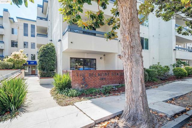 389 Belmont St, Oakland CA: https://media.crmls.org/mediaz/54f08164-5feb-49e6-b12f-1e261cddd2c4.jpg