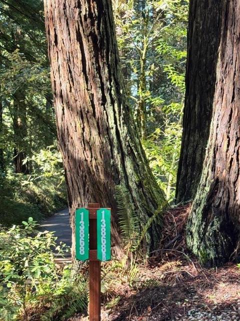0 Silver Skyway, Woodside CA: https://media.crmls.org/mediaz/54f4e5dd-a98c-4f85-8f09-87aced6099df.jpg