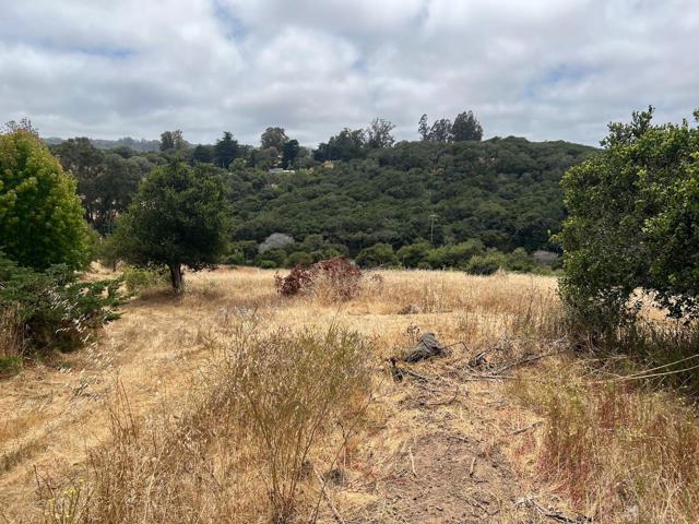 3230 Hillman Lane, Royal Oaks CA: https://media.crmls.org/mediaz/54f5049a-0c30-4667-a1d3-5c2b583e25ae.jpg