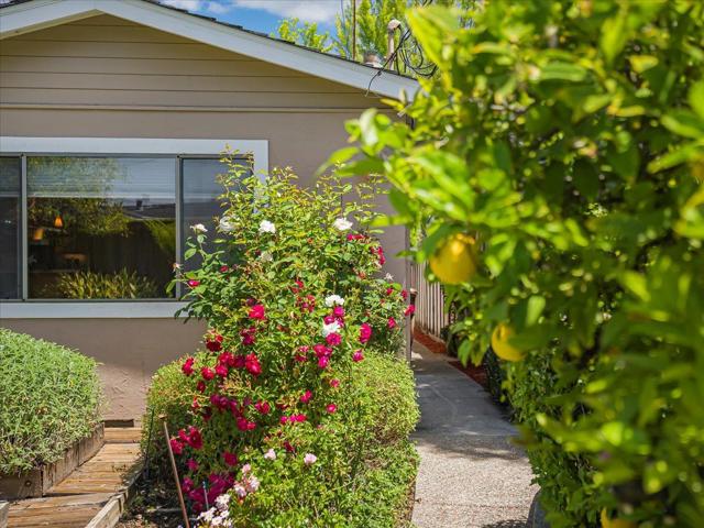 10623 Glenview Avenue, Cupertino CA: https://media.crmls.org/mediaz/5501b5c9-376f-457e-8491-4ea82922e666.jpg